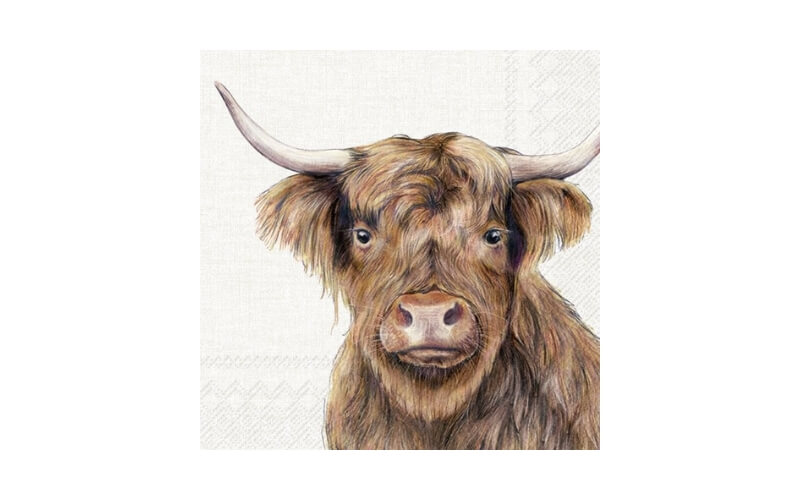 Farm Highland Cattle Lunch Servetten 5st. IHR