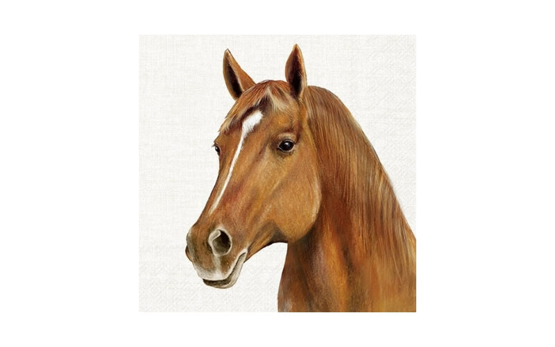 Farm Horse Lunch Servetten 20st. IHR