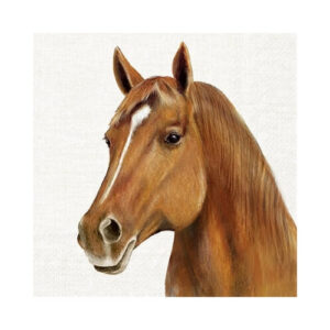 Farm Horse Lunch Servetten 5st. IHR