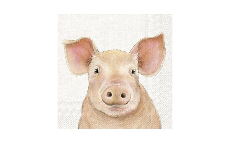 Farm Pig Lunch Servetten 20st. IHR