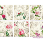 Getekende-Bloemen-Plakboekpapier-20x20cm-Scrapboeken-1-1.jpg