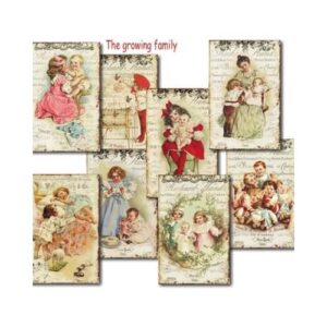 Plakboekpapier Mini Groeiende Familie Decorer