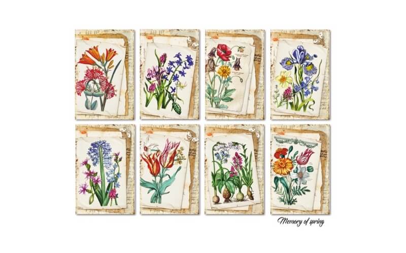 Plakboekpapier Mini Herinnering Lente Decorer