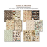 Junk-Journal-Cabinet-of-Curiosities-Ciao-Bella-Scrapboeken.nl-1-1.jpg