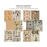 Junk-Journal-Cabinet-of-Curiosities-Ciao-Bella-Scrapboeken.nl-2-1.jpg