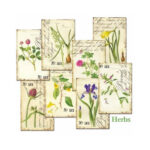 Kruiden-Mini-Plakboekpapier-Scrapboeken-2.jpg