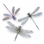 Libelle-set-Aerial-1-Scrapboeken.nl_.jpg