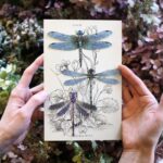 Libelle-set-Aerial-Scrapboeken.nl_.jpg