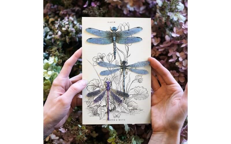 Libelle set 'Aerial' Moth and Myth