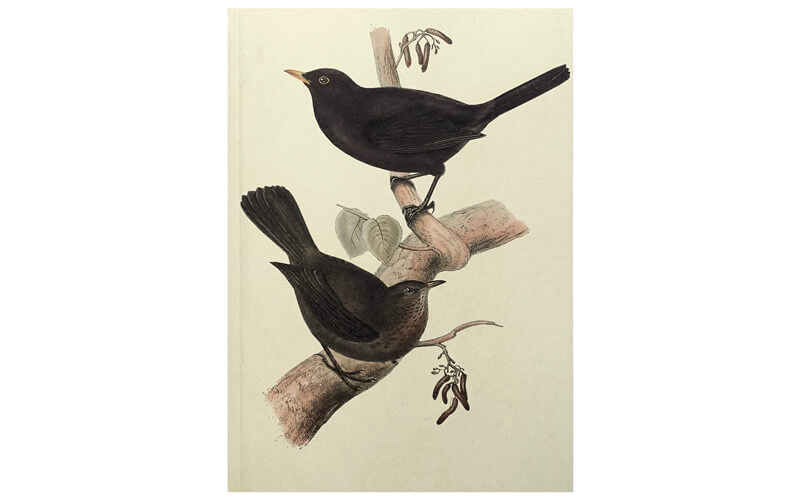Notitieboek A5 Birds