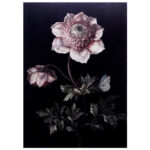 Memoriebox-Skona-Ting-notitieboek-STNOTE97-Zwart-Rose-bloem-01.jpg