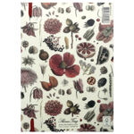 Memoriebox-Skona-Ting-notitieboek-STNOTE99-Kruiden-02.jpg