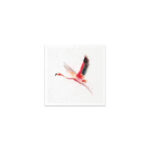 Mini-Rijstpapier-Set-Flamingo-Ara-6-Vellen-Itd-Collection-Scrapboeken.nl-1-1.jpg