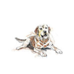 Mini-Rijstpapier-Set-Honden-Katten-6-Vellen-Itd-Collection-Scrapboeken.nl-1-1.jpg