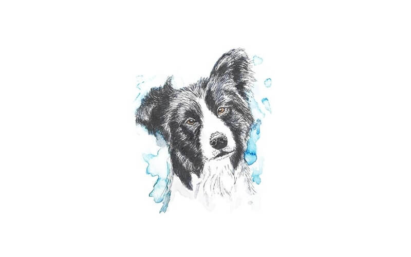 Mini Rijstpapier Set Honden & Katten 6 Vellen Itd Collection