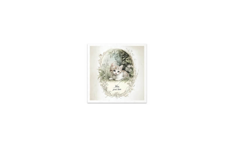Mini Rijstpapier Set Kittens 6 Vellen Itd Collection