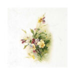 Mini-Rijstpapier-Set-Veldbloemen-6-Vellen-Itd-Collection-Scrapboeken.nl-2-1.jpg