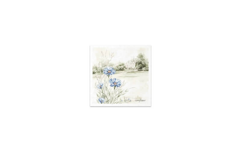 Mini Rijstpapier Set Weidebloemen 6 Vellen Itd Collection