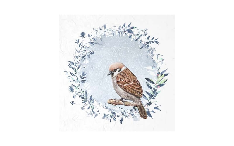 Mini Rijstpapier Set Winter Vogels 6 Vellen Itd Collection