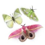 Mottenset-Limelight-1-Scrapboeken.nl_.jpg