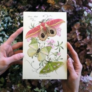 Mottenset 'Limelight' Moth and Myth.