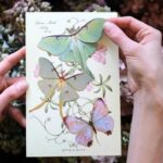 Mottenset-Luna-Spring-Scrapboeken.nl_.jpg