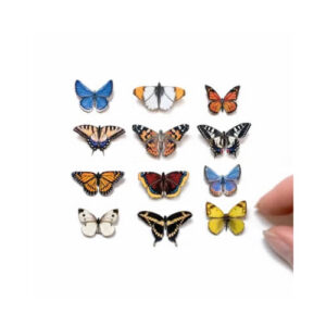 Noord-Amerikaanse Vlindermicrocollectie Moth and Myth