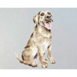 Notitieboek-Dagboek-Honden-Wrendale-A5-Scrapboeken-1-1.jpg