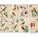 Op-een-Tak-Mini-Plakboekpapier-Scrapboeken-1-1.jpg