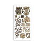 Papieren-Oud-Kant-Stamperia-Scrapboeken.nl-1-1.jpg