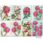 Pioenroos-Mini-Plakboekpapier-Scrapboeken-1-1.jpg
