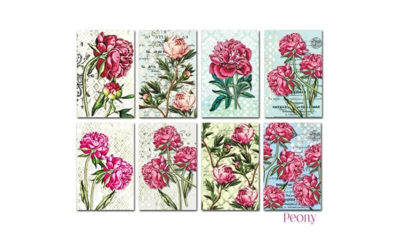 Plakboekpapier Mini Pioenroos Decorer
