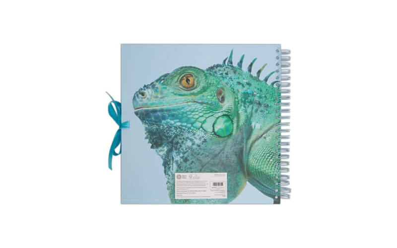 Plakboek-Scrapbook 30x30 Leguaan Natural History Museum