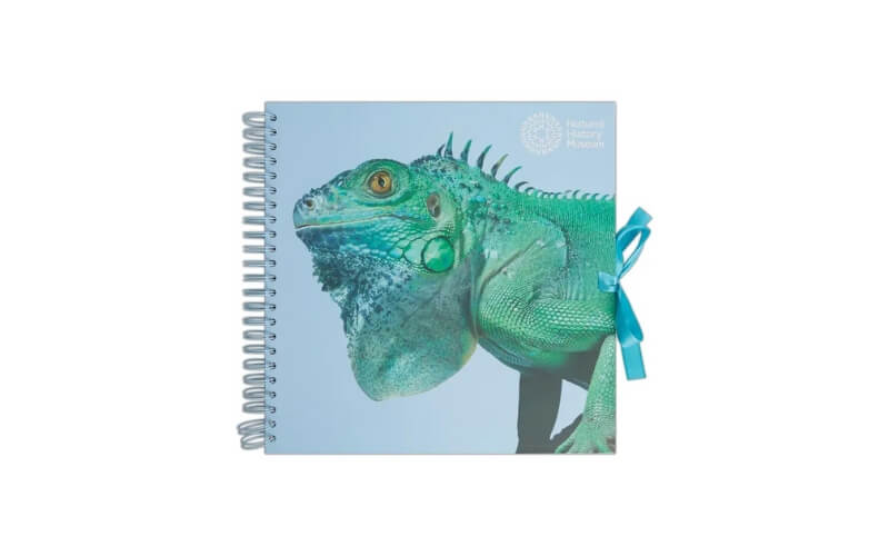 Plakboek-Scrapbook 30x30 Leguaan Natural History Museum
