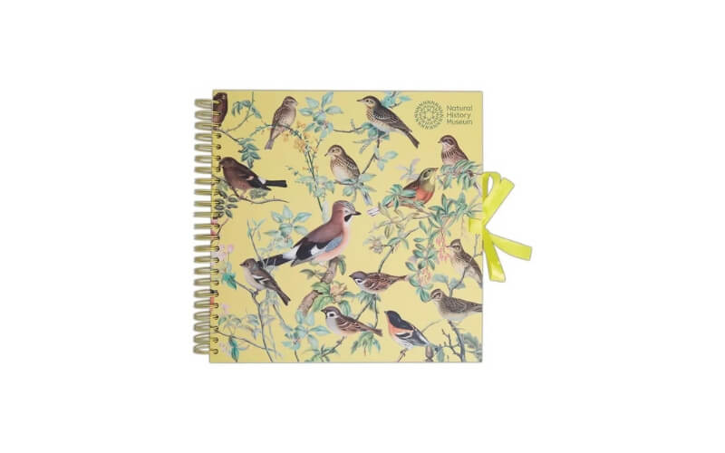 Plakboek-Scrapbook 30x30 Zwerm Natural History Museum