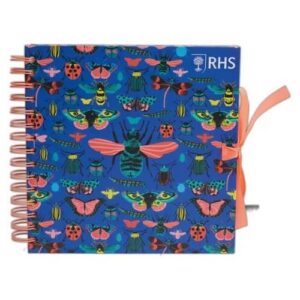 Plakboek-Scrapbook Insecten 20X20