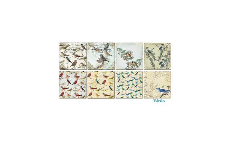 Plakboekpapier 15x15 Vogels Decorer