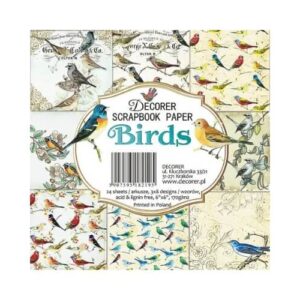 Plakboekpapier 15x15 Vogels Decorer