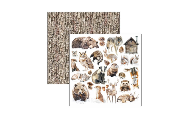 Plakboekpapier 20x20 Forest Tales Ciao Bella