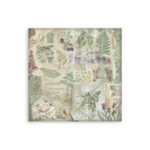 Plakboekpapier-20×20-Herbarium-Silvae-Achtergrond-Stamperia-Scrapboeken.nl-1-1.jpg