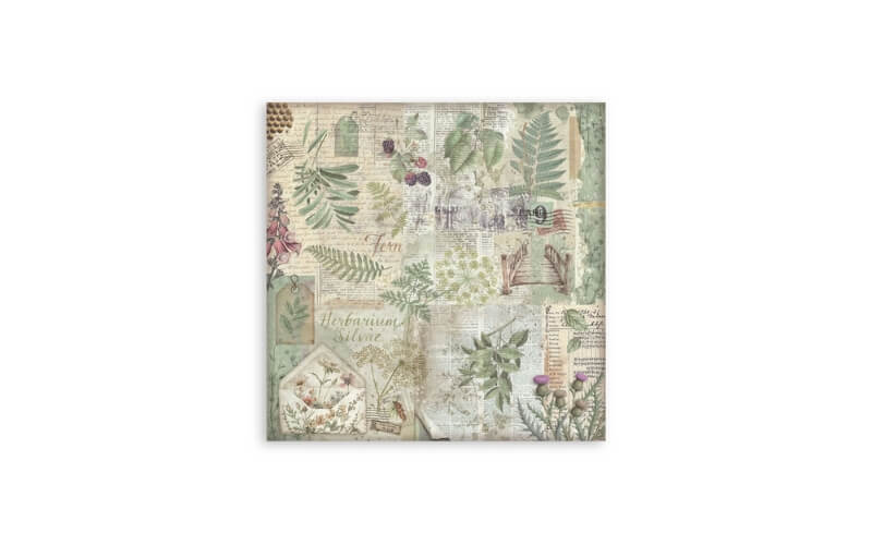 Plakboekpapier 20x20 Herbarium Silvae Achtergrond Stamperia