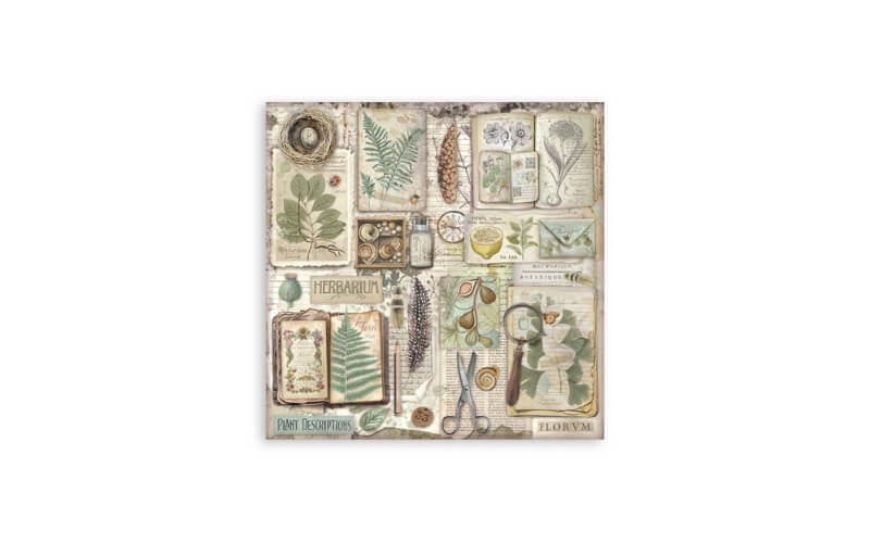 Plakboekpapier 20x20 Herbarium Silvae Eenzijdig Stamperia