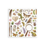 Plakboekpapier-30×30-All-Around-Enkelzijdig-Stamperia-Scrapboeken.nl-2-1.jpg