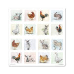 Plakboekpapier-30×30-Around-the-Farm-Itd-Collection-Scrapboeken.nl-2-1.jpg