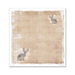 Plakboekpapier-30×30-Around-the-Farm-Itd-Collection-Scrapboeken.nl-3-1.jpg