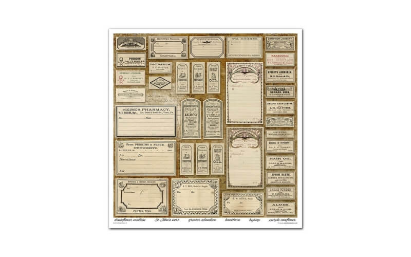 Plakboekpapier 30x30 Herbarium 2 Itd Collection