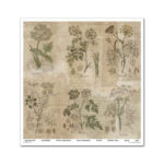 Plakboekpapier-30×30-Herbarium-2-Itd-Collection-Scrapboeken.nl-2-1.jpg