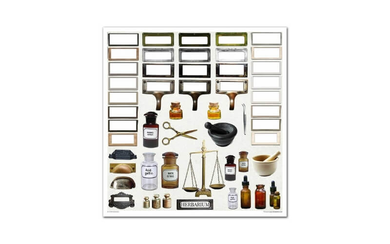 Plakboekpapier 30x30 Herbarium Itd Collection