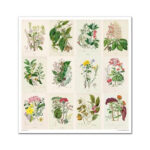 Plakboekpapier-30×30-Herbarium-Itd-Collection-Scrapboeken.nl-2-1.jpg