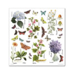 Plakboekpapier-30×30-Herbarium-Itd-Collection-Scrapboeken.nl-3-1.jpg